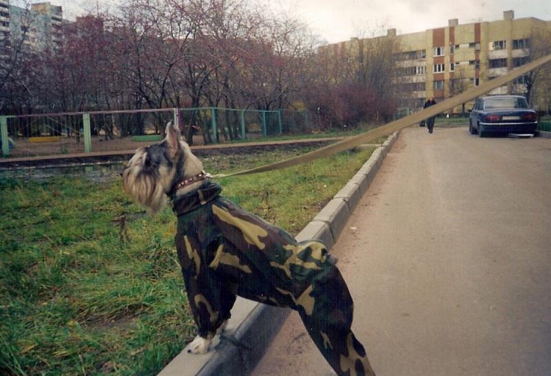 0006.jpg - В комбенизоне